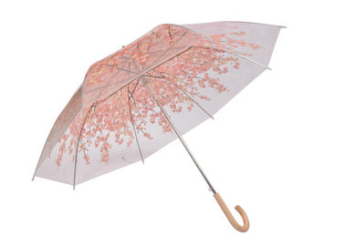 خانمهای مد روز ، چتر شفاف صورتی ، چتر بزرگ گنبد روشن