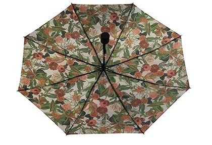 چتر تاشو اتوماتیک Ladies Pongee برای سفر