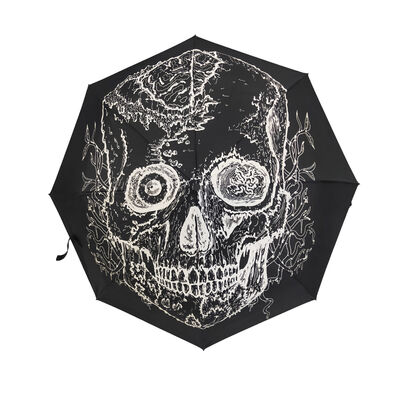 چتر تاشو شیامن با 8 دنده 27 سانتی متر با طول بسته شده طراحی کمپیکت سبک وزن ایده آل برای سفر کسب و کار و فعالیت های بیرونی